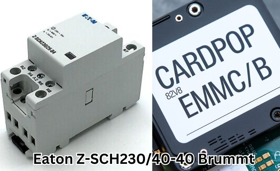 Eaton Z-SCH230/40-40 Brummt