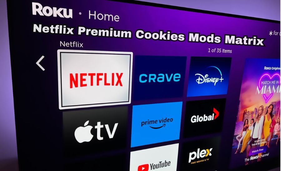 Netflix Premium Cookies Mods Matrix