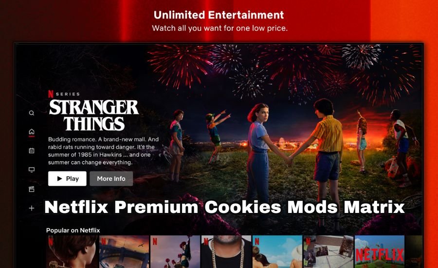 Netflix Premium Cookies Mods Matrix