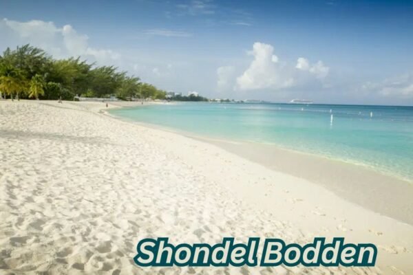 shondel bodden