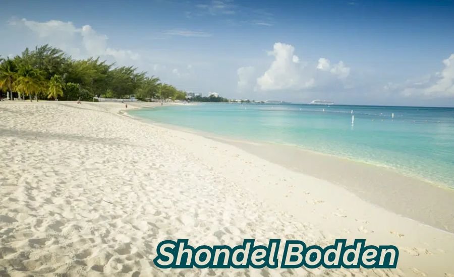 shondel bodden