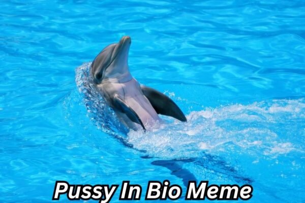 pussy in bio meme